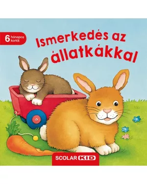 Ismerkedés az állatkákkal